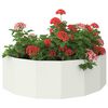 Miniatuurafbeelding van het product 3 van 12