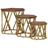 vidaXL Salontafels Bruin 55 x 55 x 50 cm Massief Mango Hout