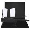 vidaXL Fotostudioset met verlichtingsset en achtergrond