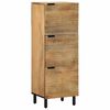 vidaXL Hoge kast 40x33x110 cm massief mango bruin