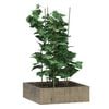 Miniatuurafbeelding van het product 3 van 8