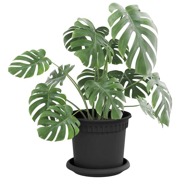 Productafbeelding 3 van 10