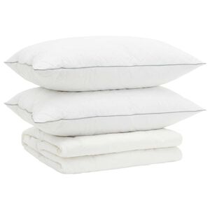 vidaXL 90% ganzen dons dekbedset FULDA 3 pcs 200 x 200 cm Zomer Wit