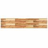 vidaXL Wandschap zwevend olieafwerking 160x30x4 cm massief acaciahout