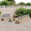 vidaXL Tuinbankenset met kussen 10 pcs Beige poly rattan