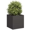vidaXL Plantenbak 40x40x40 cm koudgewalst staal zwart