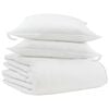 vidaXL Winter Dekbed met kussen 3 st Wit Donsveertjes