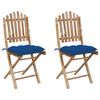 vidaXL Opklapbare stoelen (2 stuks) met kussens, bamboe