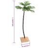 Miniatuurafbeelding van het product 10 van 10