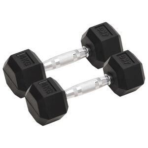 vidaXL Halters 2 st 4 kg totaal gietijzer