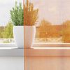 Miniatuurafbeelding van het product 3 van 9