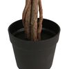 Miniatuurafbeelding van het product 3 van 5