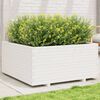 vidaXL Plantenbak 100x100x49,5 cm massief grenenhout wit