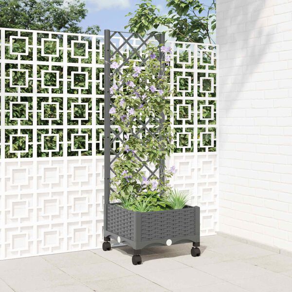 Productafbeelding 2 van 8