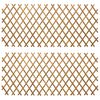 vidaXL Uitvouwbare Trellis Fence 2 st 100 x 105 cm Bamboe Licht Bruin