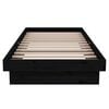 vidaXL Bedframe massief hout zwart 75x190 cm