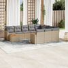 vidaXL 11-delige Loungeset met kussens poly rattan gemengd beige