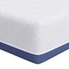 vidaXL Matras Medium stevig 120 x 200 cm Wit en Blauw