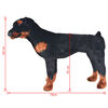 Miniatuurafbeelding van het product 5 van 5