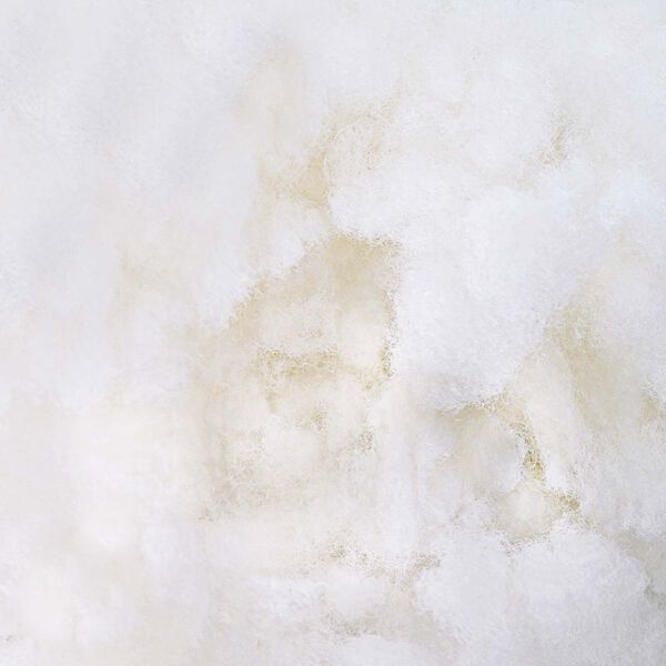 vidaXL Vezelvulling Wit 2,5 kg Polyester