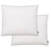 vidaXL Kussens 2 st zwaar 70x60 cm dons-/verenvulling wit
