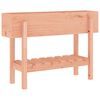 vidaXL Plantenbak verhoogd 101x30x69 cm massief douglashout