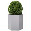 Miniatuurafbeelding van het product 3 van 11