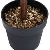 Miniatuurafbeelding van het product 4 van 5