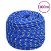 vidaXL Boottouw 10 mm 100 m polypropyleen blauw