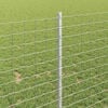 Miniatuurafbeelding van het product 4 van 8