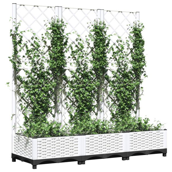Productafbeelding 3 van 8