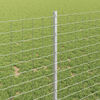 Miniatuurafbeelding van het product 4 van 7