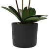 Miniatuurafbeelding van het product 3 van 5