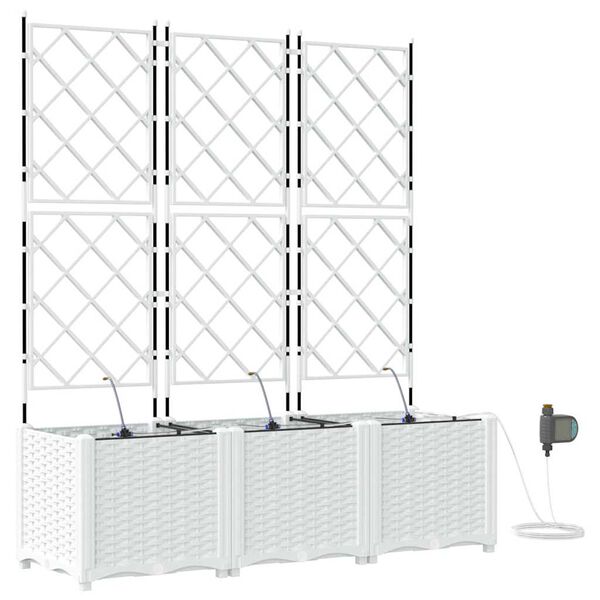 Productafbeelding 1 van 10