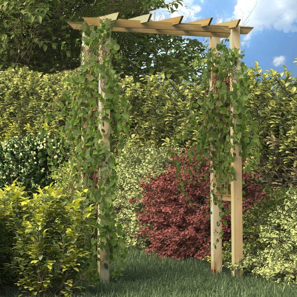 vidaXL Rozenboog 150x60x204 cm ge&iuml;mpregneerd hout