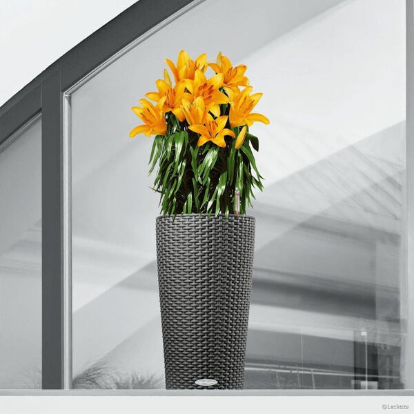 LECHUZA Plantenbak CILINDRO Cottage 23 ALL-IN-ONE &oslash;23 cm granietzwart