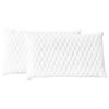 vidaXL Kussens 2 st 60x40x14 cm traagschuim