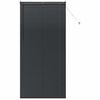 vidaXL Venetiaanse Jaloezie&euml;n Zwart 220 x 100 cm Aluminium