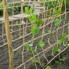 Nature Klimnet voor planten 1,8x5 m jute