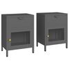 vidaXL Nachtkastjes 2 st 40x30x54,5 cm staal en glas antracietkleurig