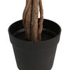Miniatuurafbeelding van het product 3 van 5