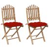 vidaXL Opklapbare stoelen (2 stuks) met kussens, bamboe