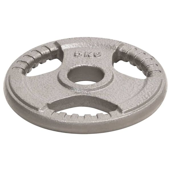 vidaXL Halterschijven 2 st 10 kg gietijzer