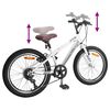 vidaXL Mountainbike 20 Inch 6-Speed voor 5-8 jaar oud Wit
