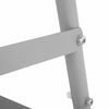 Bestway Zwembadladder Flowclear 2 treden 84 cm