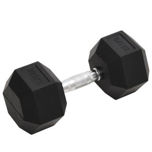 vidaXL Halters 22,5 kg gietijzer