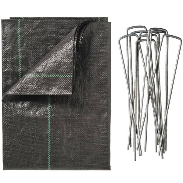 Nature Anti-worteldoek met pinnen 2x5 m zwart