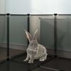 Miniatuurafbeelding van het product 8 van 10