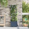 Miniatuurafbeelding van het product 3 van 8