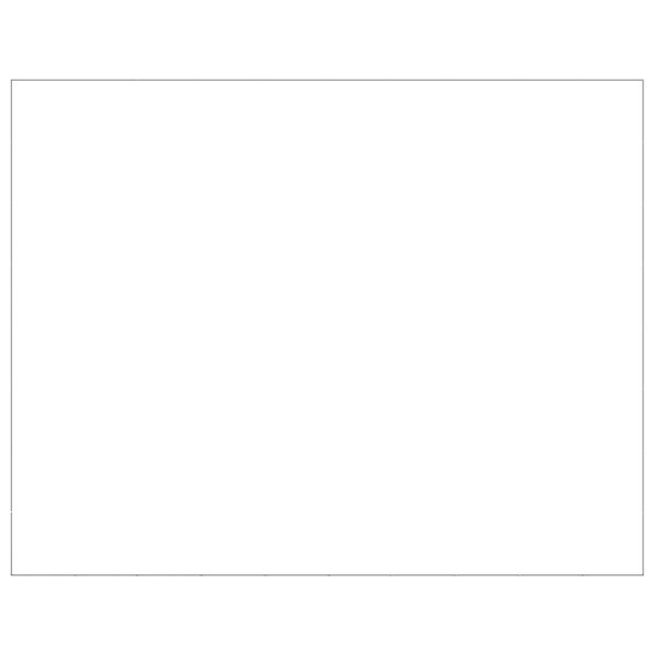 vidaXL Hondenkennel 80 m&sup2; staal zilverkleurig